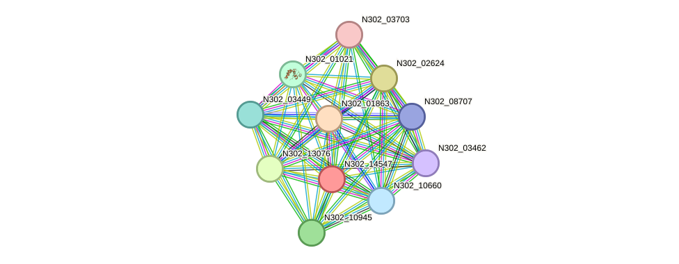 STRING protein interaction network