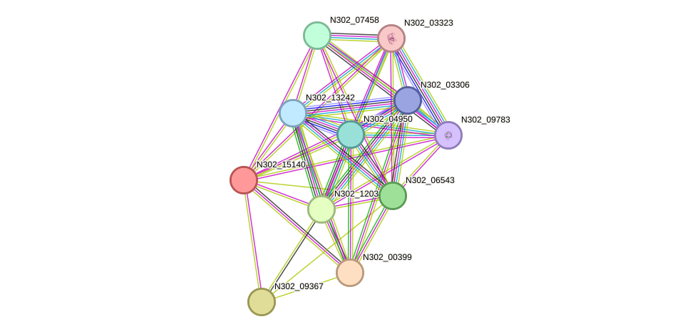 STRING protein interaction network