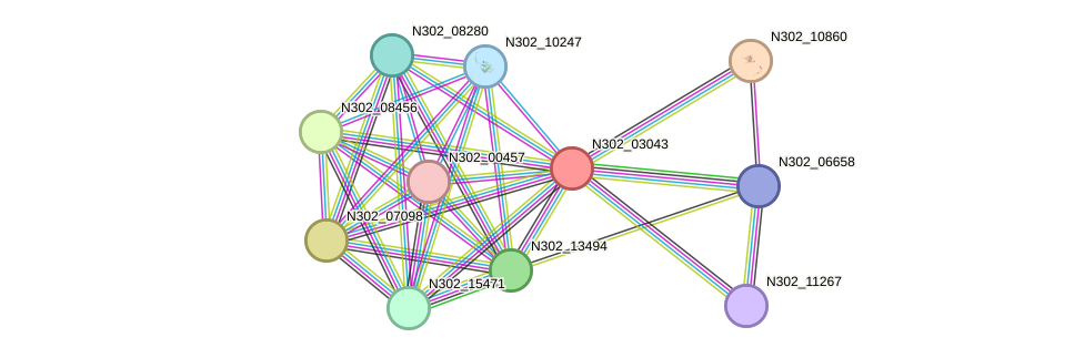 STRING protein interaction network