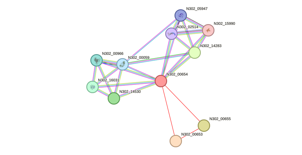 STRING protein interaction network