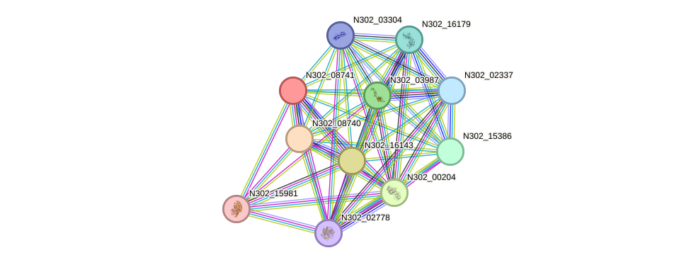 STRING protein interaction network