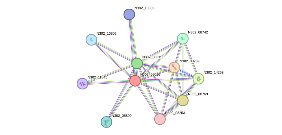 STRING protein interaction network