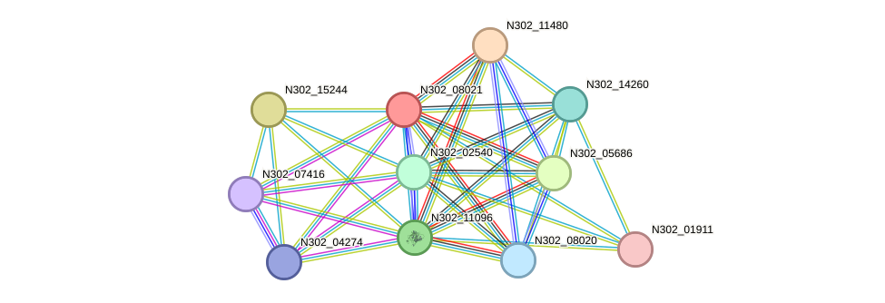 STRING protein interaction network