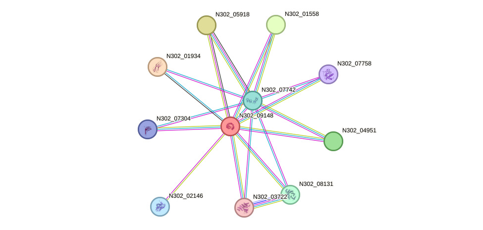 STRING protein interaction network