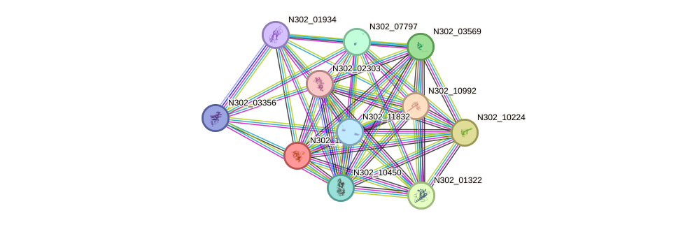 STRING protein interaction network