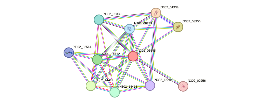 STRING protein interaction network