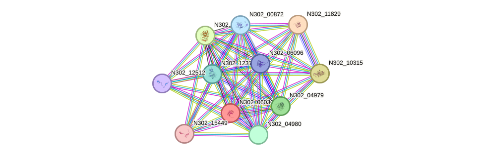 STRING protein interaction network