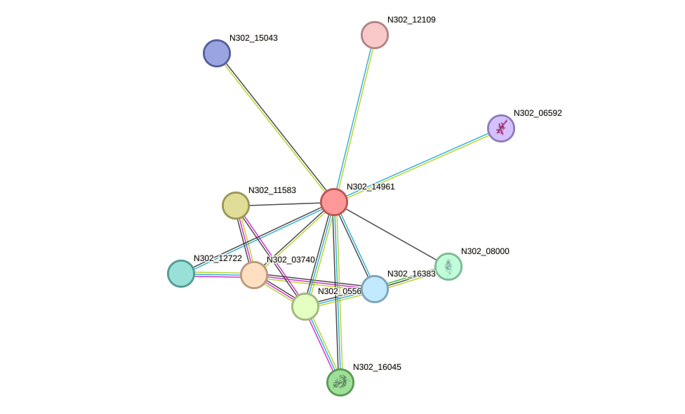 STRING protein interaction network