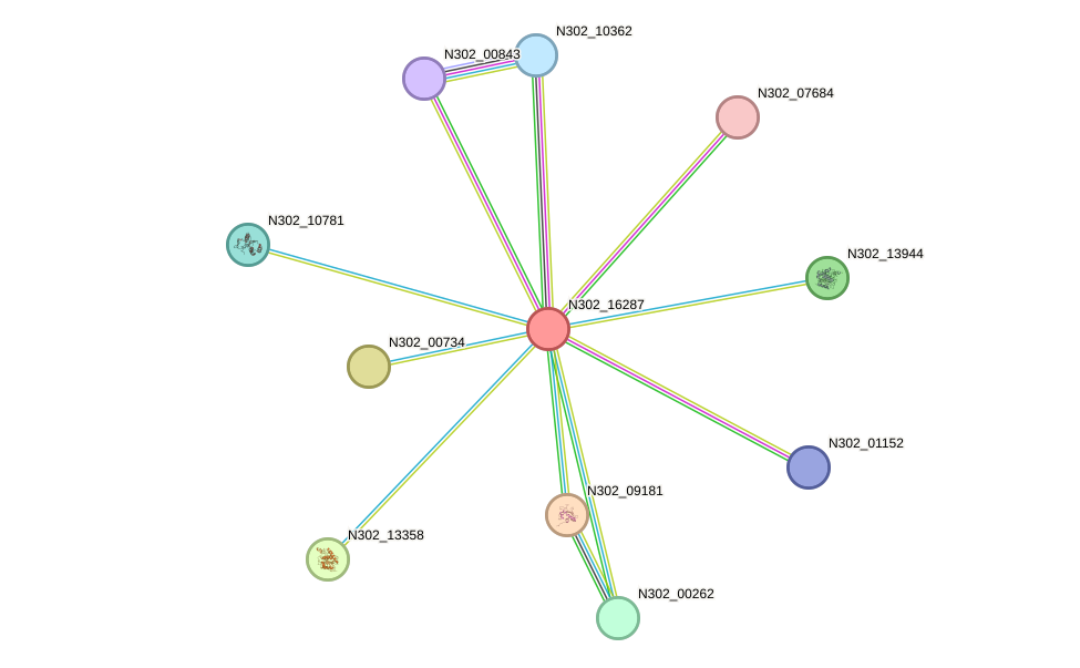 STRING protein interaction network