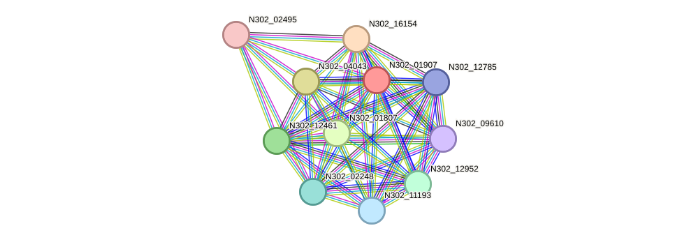 STRING protein interaction network