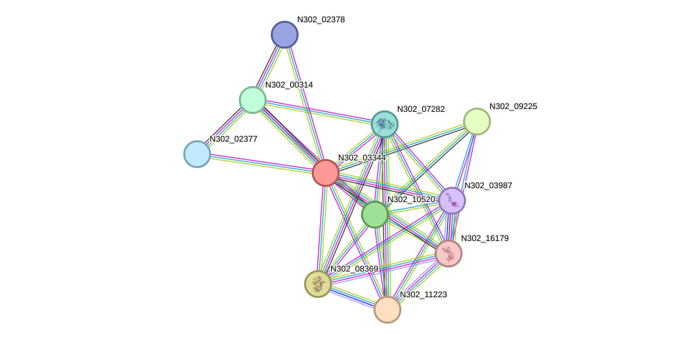 STRING protein interaction network