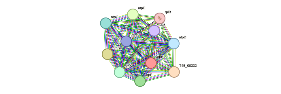 STRING protein interaction network