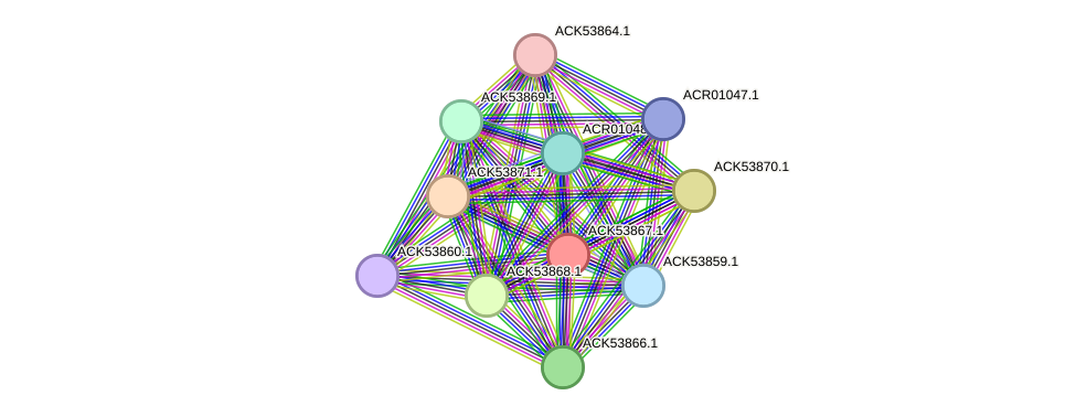 STRING protein interaction network