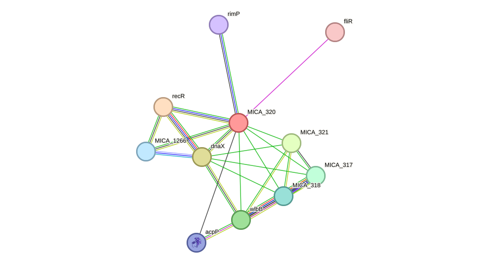 STRING protein interaction network