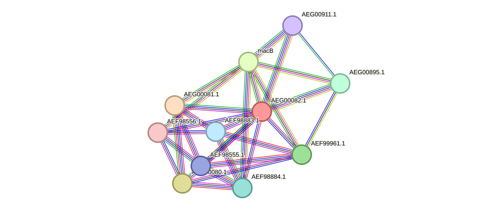 STRING protein interaction network