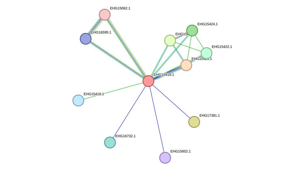 STRING protein interaction network