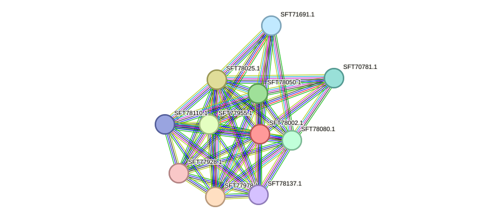 STRING protein interaction network