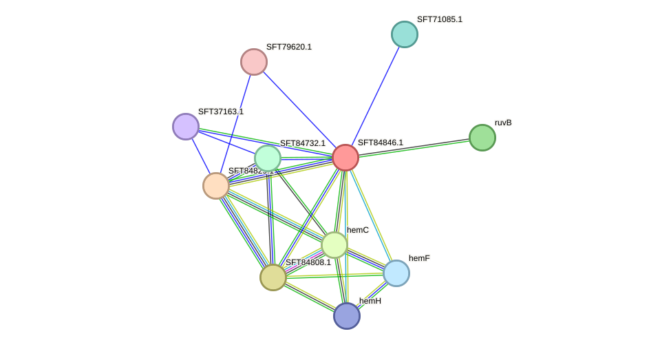 STRING protein interaction network