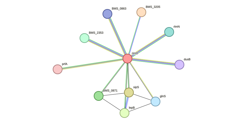 STRING protein interaction network