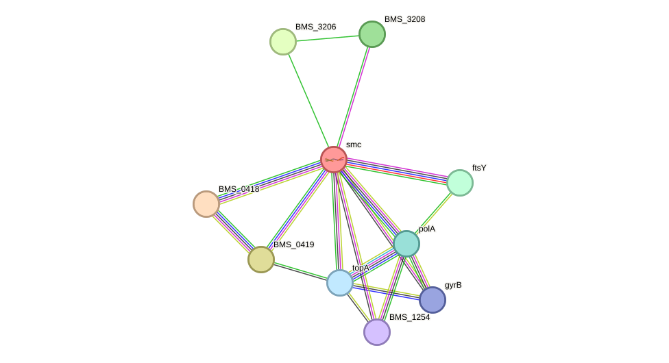 STRING protein interaction network