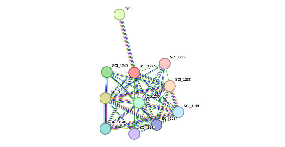 STRING protein interaction network
