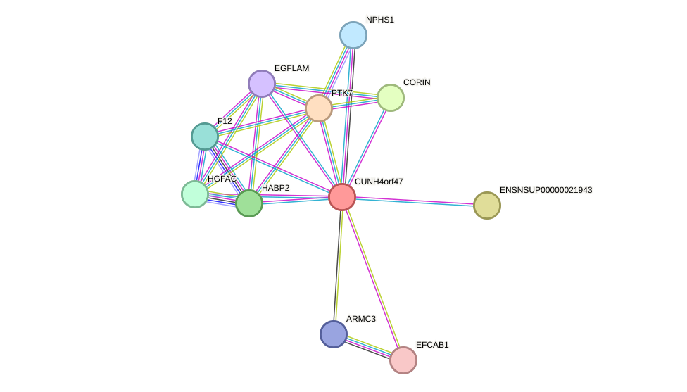 STRING protein interaction network