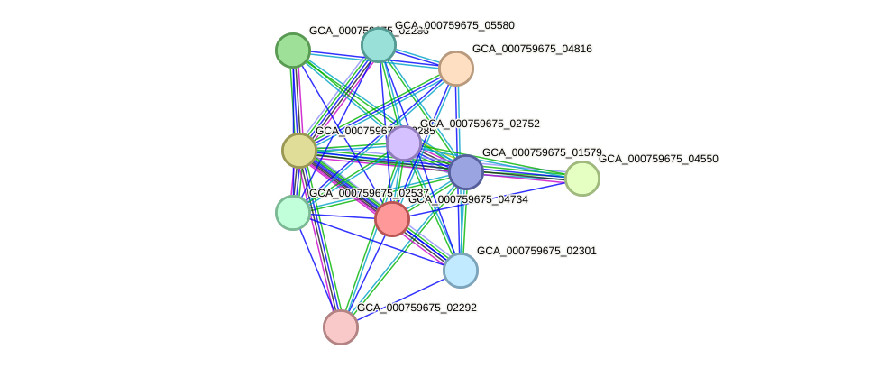 STRING protein interaction network