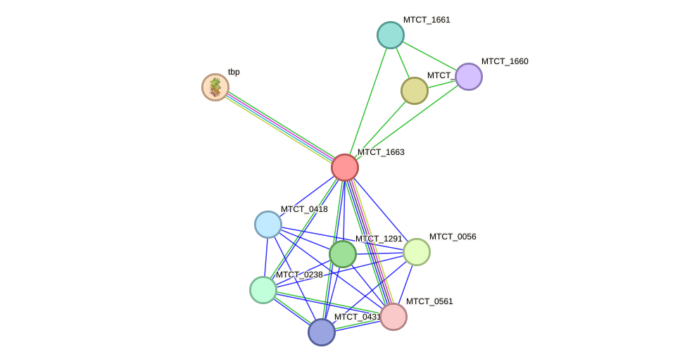 STRING protein interaction network