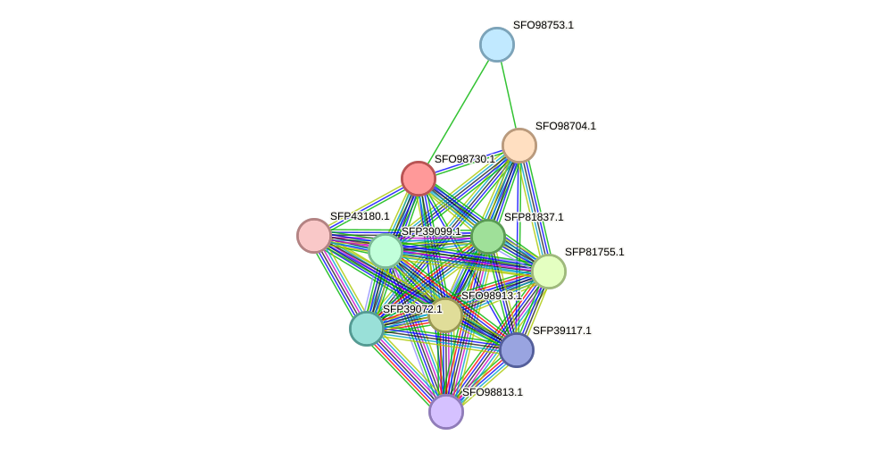 STRING protein interaction network