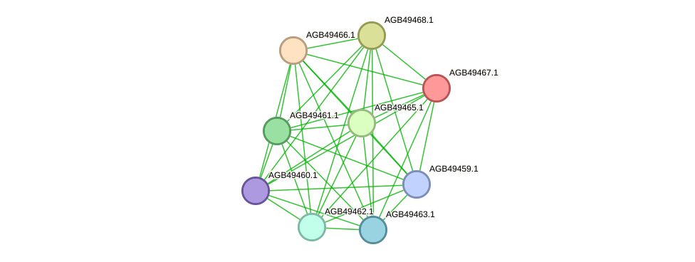 STRING protein interaction network