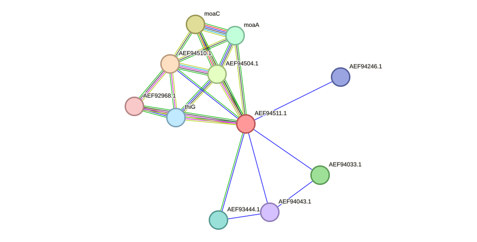 STRING protein interaction network