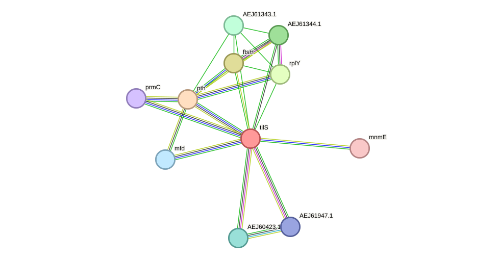 STRING protein interaction network