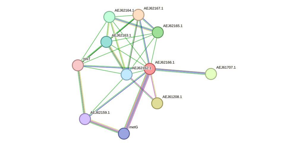 STRING protein interaction network