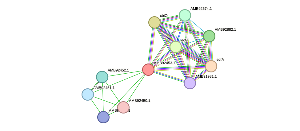 STRING protein interaction network