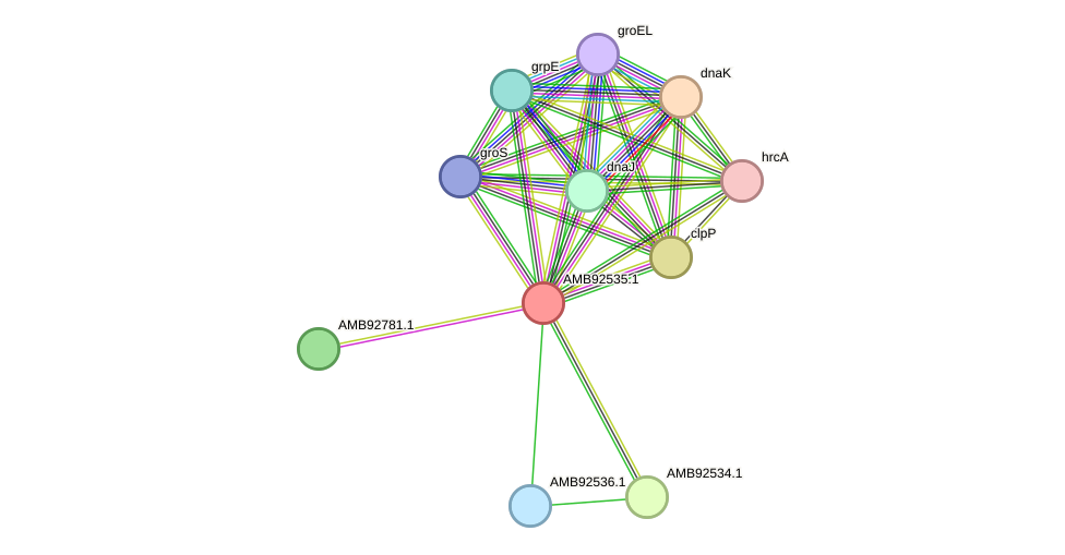 STRING protein interaction network