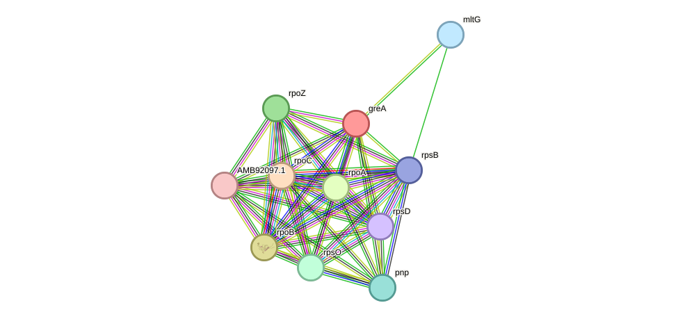 STRING protein interaction network