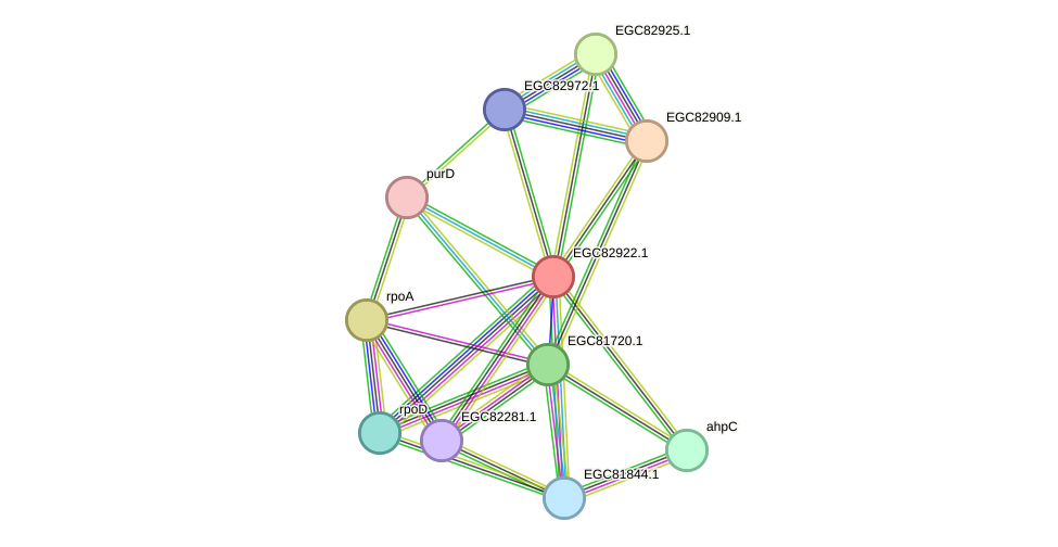 STRING protein interaction network