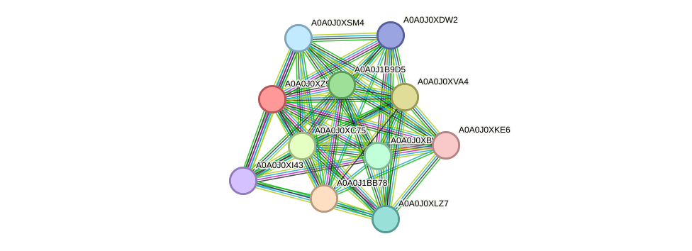 STRING protein interaction network