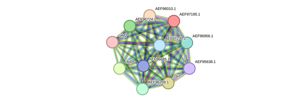 STRING protein interaction network