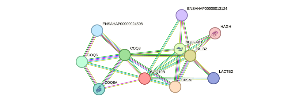 STRING protein interaction network