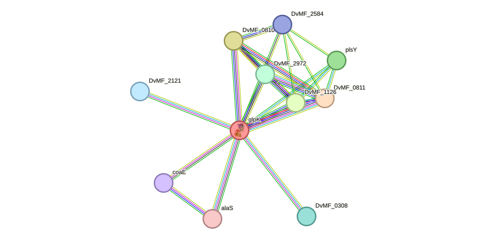 STRING protein interaction network