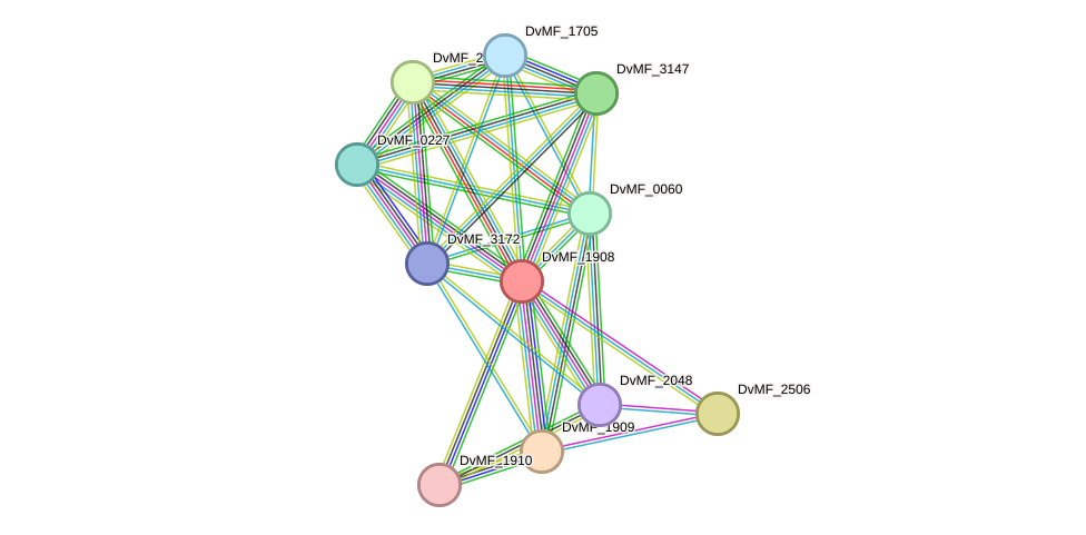 STRING protein interaction network
