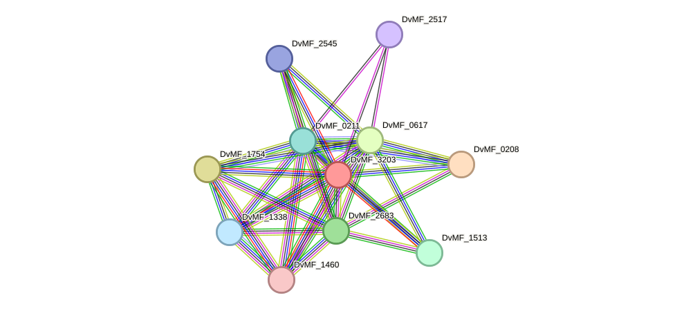 STRING protein interaction network