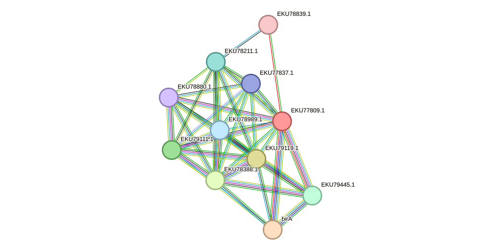 STRING protein interaction network