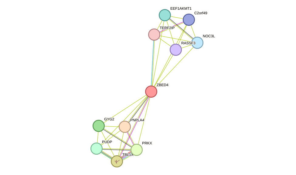 STRING protein interaction network