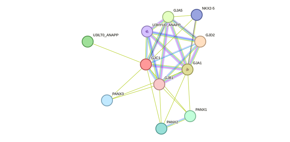 STRING protein interaction network