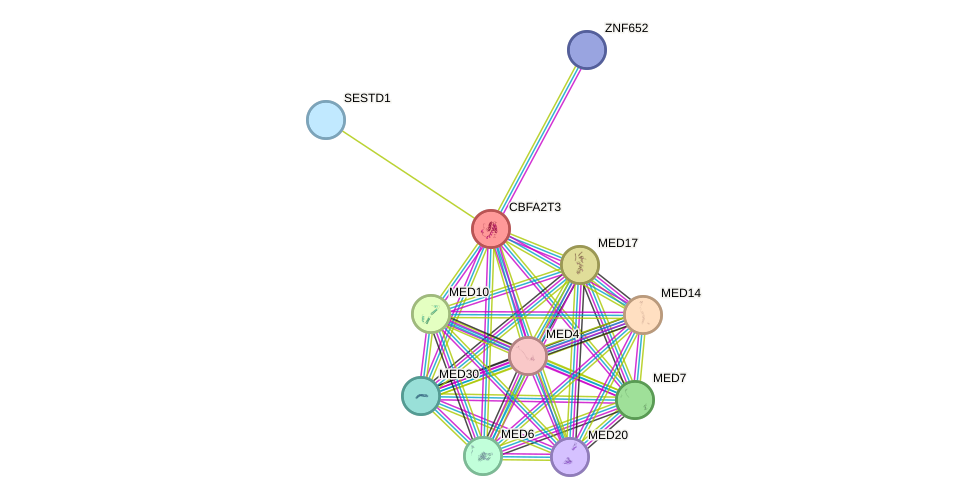 STRING protein interaction network