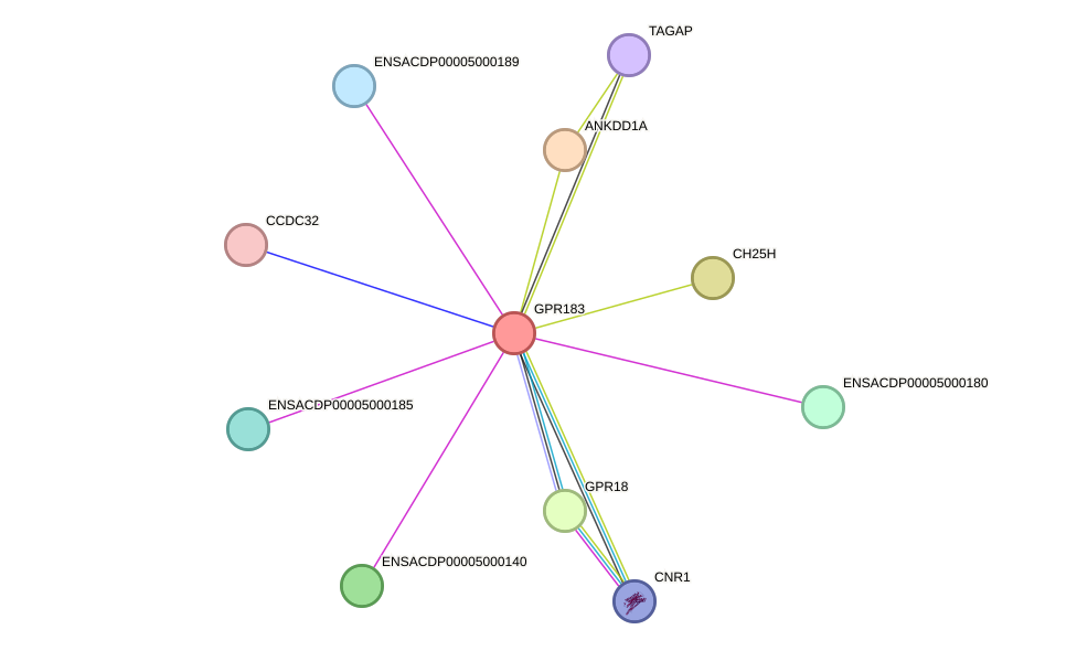 STRING protein interaction network