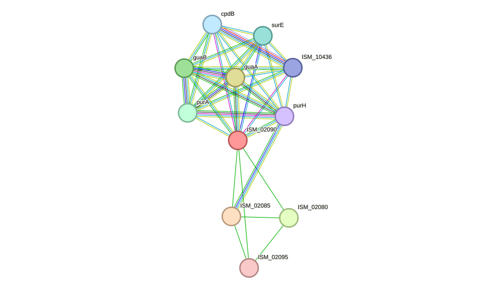 STRING protein interaction network