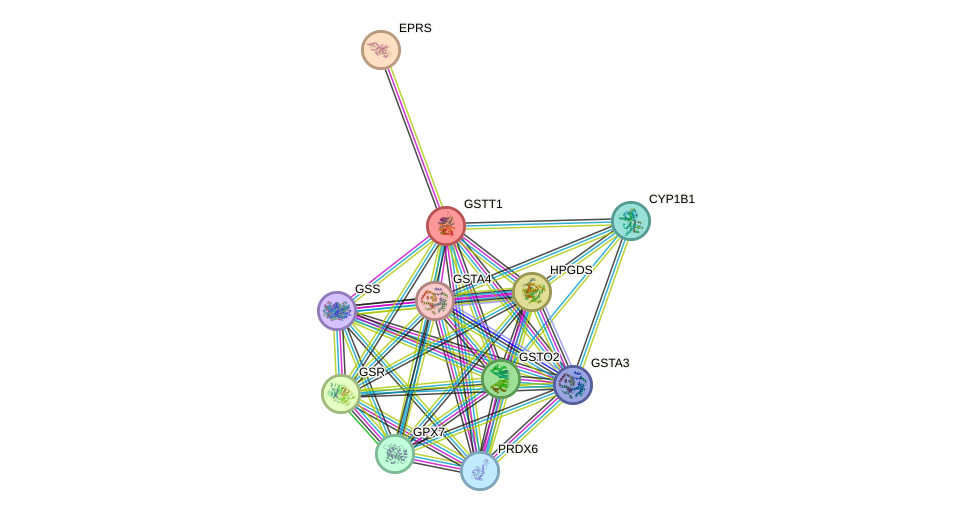 STRING protein interaction network